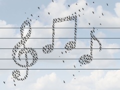 人間の耳は約khzまでしか聞こえない ハイレゾ音源 に意味はあるのか 日経クロステック Xtech 人間の耳は約khzまでしか聞こえない ハイレゾ音源 に意味はあるのか 日経クロステック Xtech