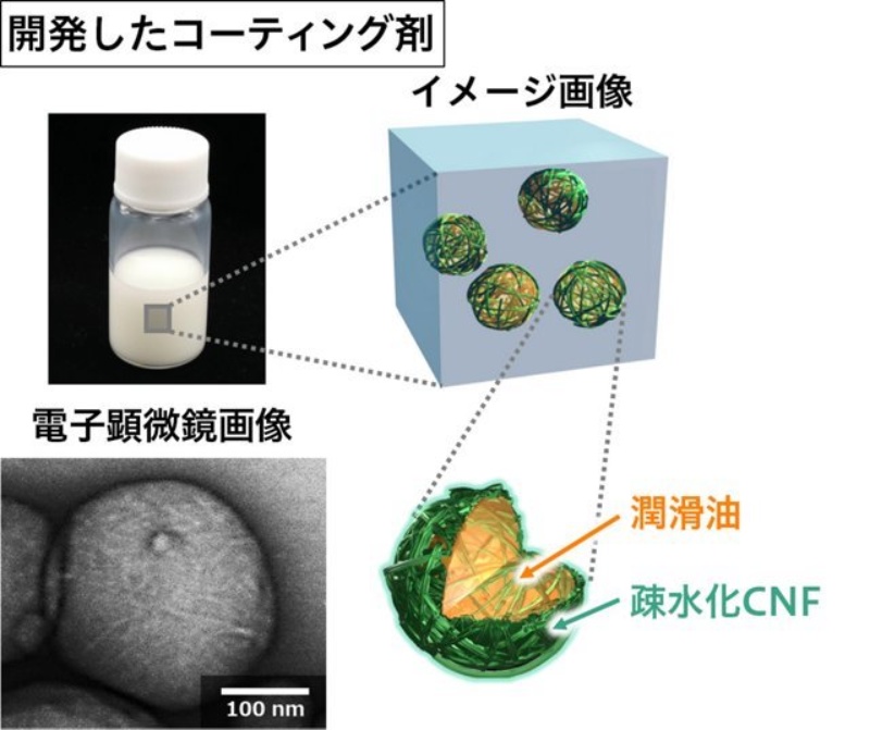 ウツボカズラの構造を模倣 花王がcnfを利用したコーティング剤 日経クロステック Xtech ウツボカズラの構造を模倣 花王がcnfを利用したコーティング剤 日経クロステック Xtech