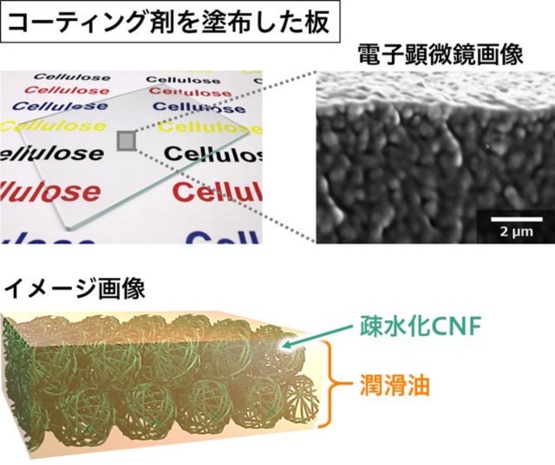 ウツボカズラの構造を模倣 花王がcnfを利用したコーティング剤 日経クロステック Xtech ウツボカズラの構造を模倣 花王がcnfを利用したコーティング剤 日経クロステック Xtech
