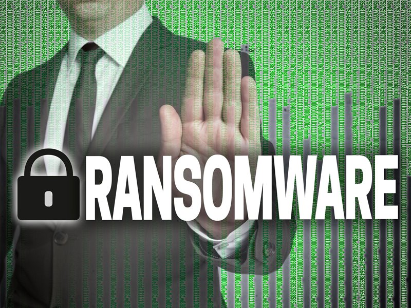 「ノア」生産のトヨタ車体2工場も一時停止、小島プレス工業のサイバー被害の影響で