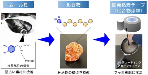 図1 開発品の概要と特徴