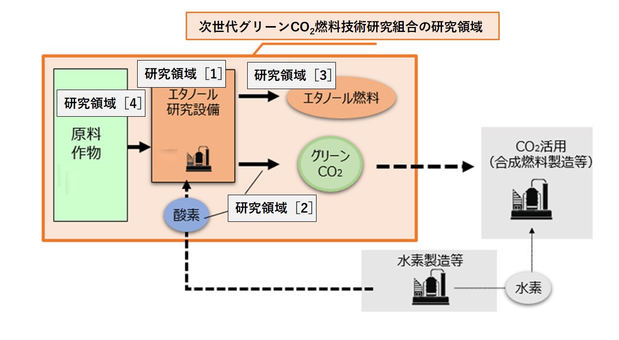 値下げ　セルロース系バイオエタノール製造技術　―食料クライシス回避のために― 98598-243-
