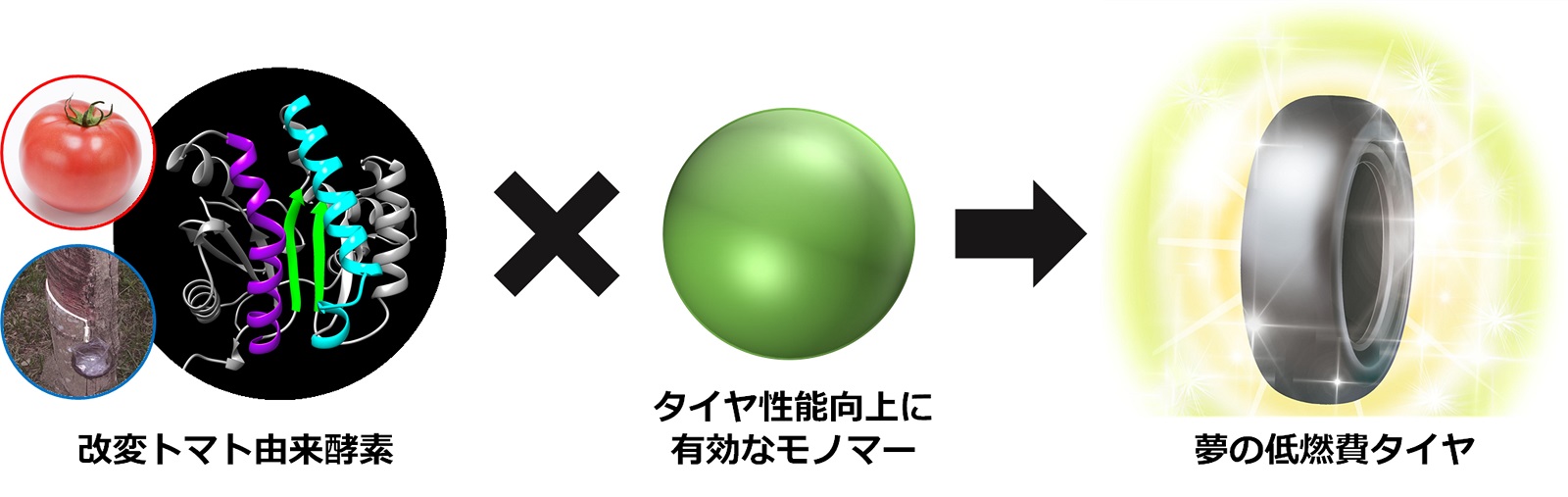 図1　新技術の概要