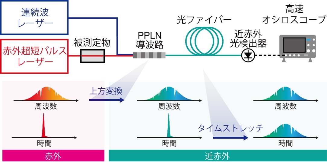 図2　「上方変換タイムストレッチ赤外分光法」のシステム概略図 （出所：東京大学）