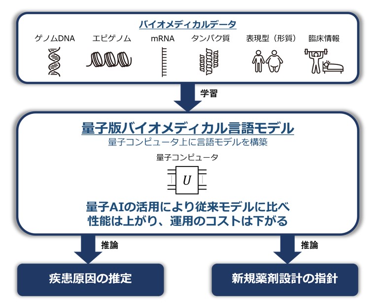 BlueMemeと九大が生物医学解析で量子AI、疾患原因推定や新薬設計を低コストに | 日経クロステック（xTECH）