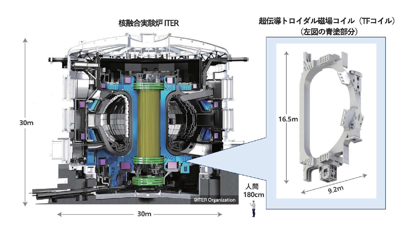 東芝など、ITER向け超電導トロイダル磁場コイル　4Kで通電試験に成功