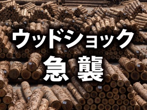 ウッドショック急襲